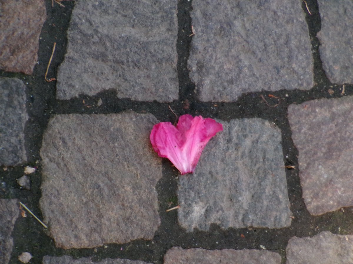 hearts ib <a href="/sulkied/">sulky</a> ᢉ𐭩