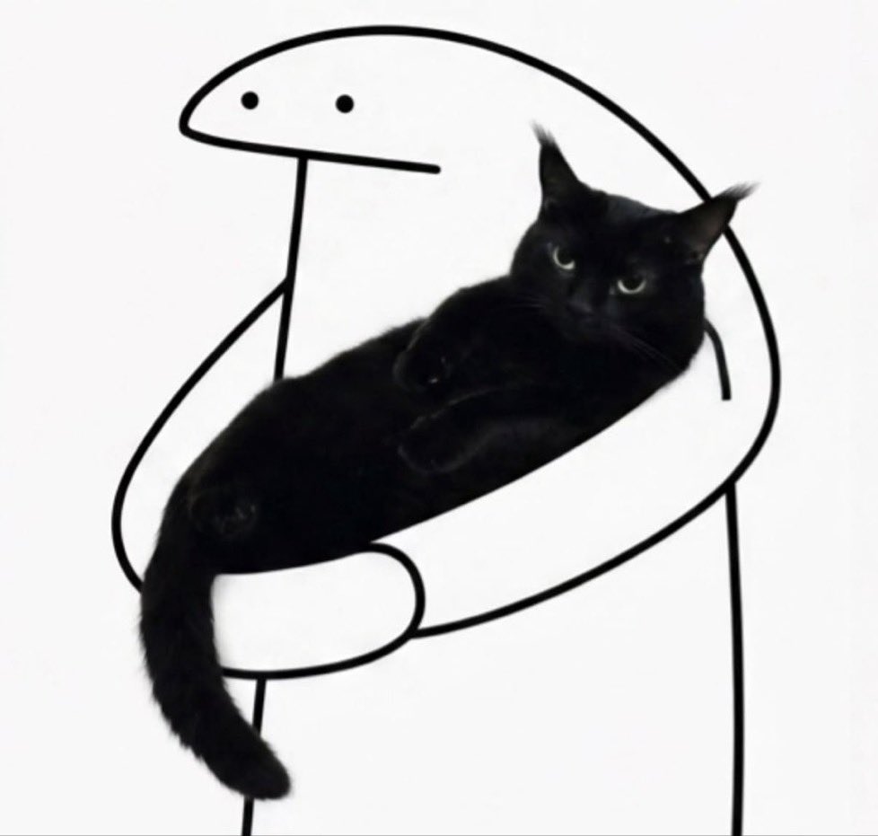 gatos fazendo gatices tweet media