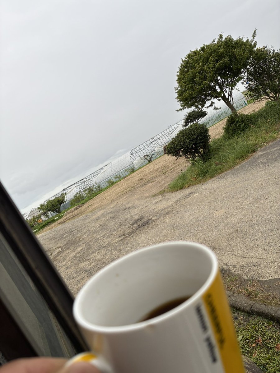 _agripeace's tweet photo. 風は止んだ…
もう諦めてコーヒー飲みます☕️ https://t.co/kn1cjR5r56