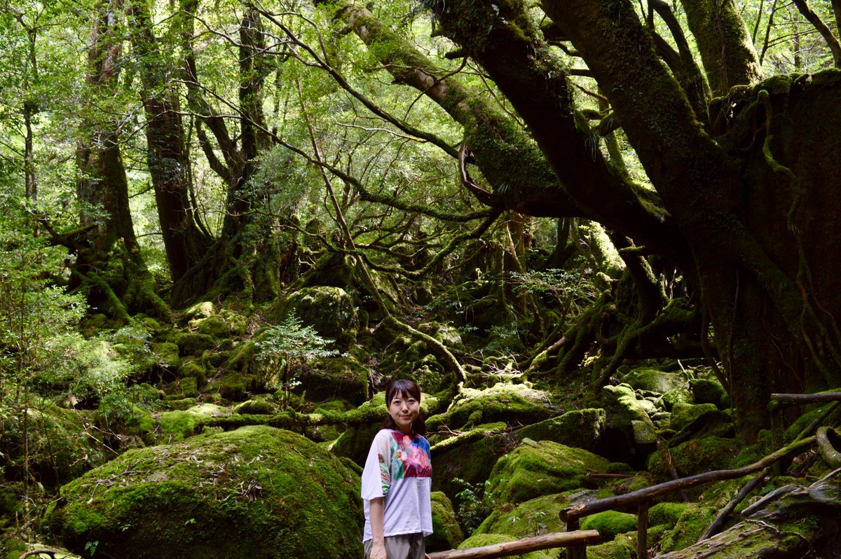 oosacracooo's tweet photo. ＼\ #環境新聞 書かせていただきました🐠/／
 
#屋久島 は何度でも訪れたい！
と感じた場所🌳
貴重な自然⛰️みんなで守っていきたいです。

そして #宮崎駿 監督の凄さを改めて痛感❤️‍🔥
#もののけ姫 もまた見たくなりました🐗 https://t.co/kkKTSqnM1Z