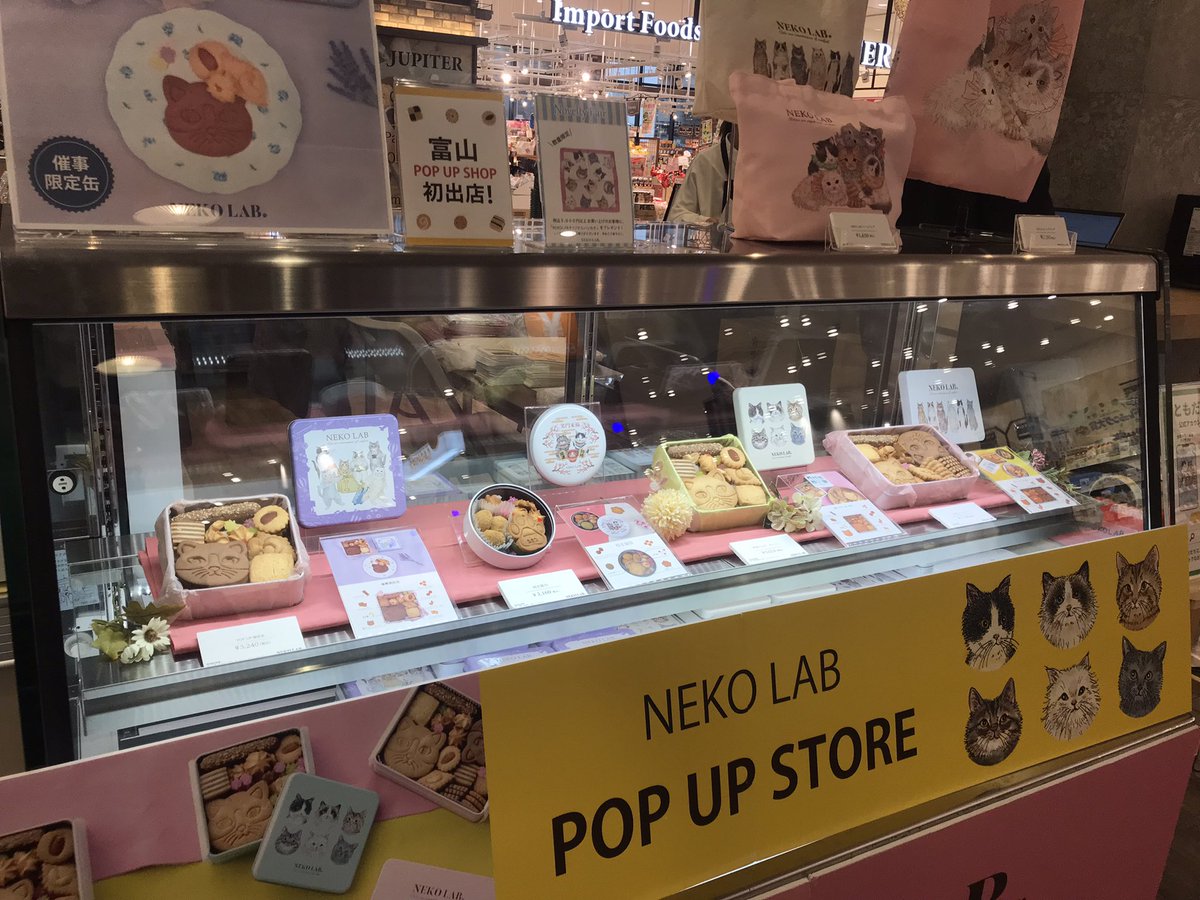 tsc_maroot's tweet photo. マルート1F スーパー前にて
NEKO LABが期間限定出店中🌟
皆様のお越しを心よりお待ちしております🐱
#マルート #NEKOLAB #富山駅前 https://t.co/YiqQikUXdr