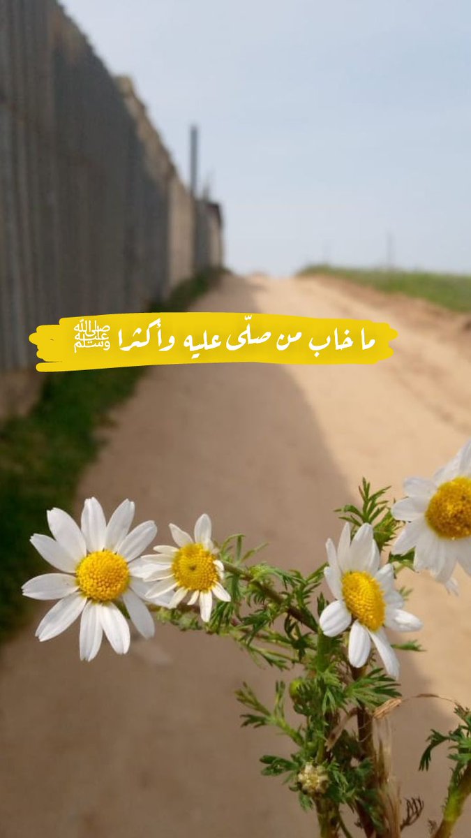 اللهم صل وسلم على نبينا محمد ﷺ
#تصويري