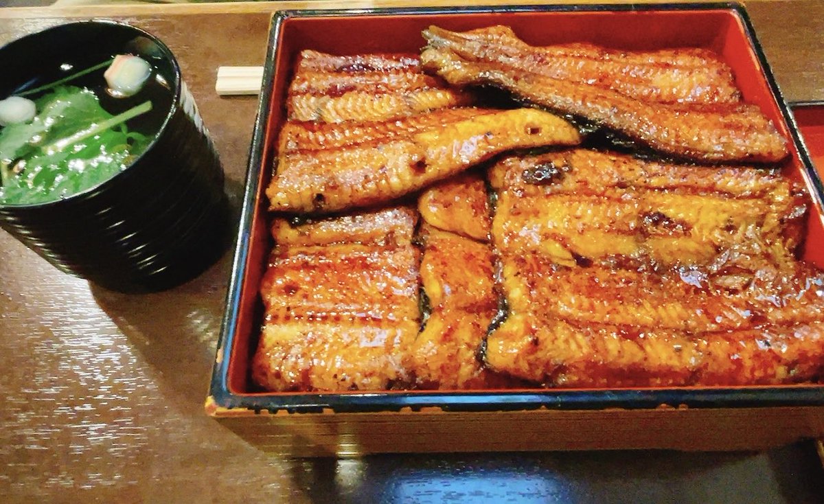 浜松のあつみでうなぎをいただきました😋
10数年前に白焼きいただいて感動したけど、今回も美味しすぎた🤤

うなぎ少なめのうな丼にしたけど、ご飯の量が多くて腹パン🍚