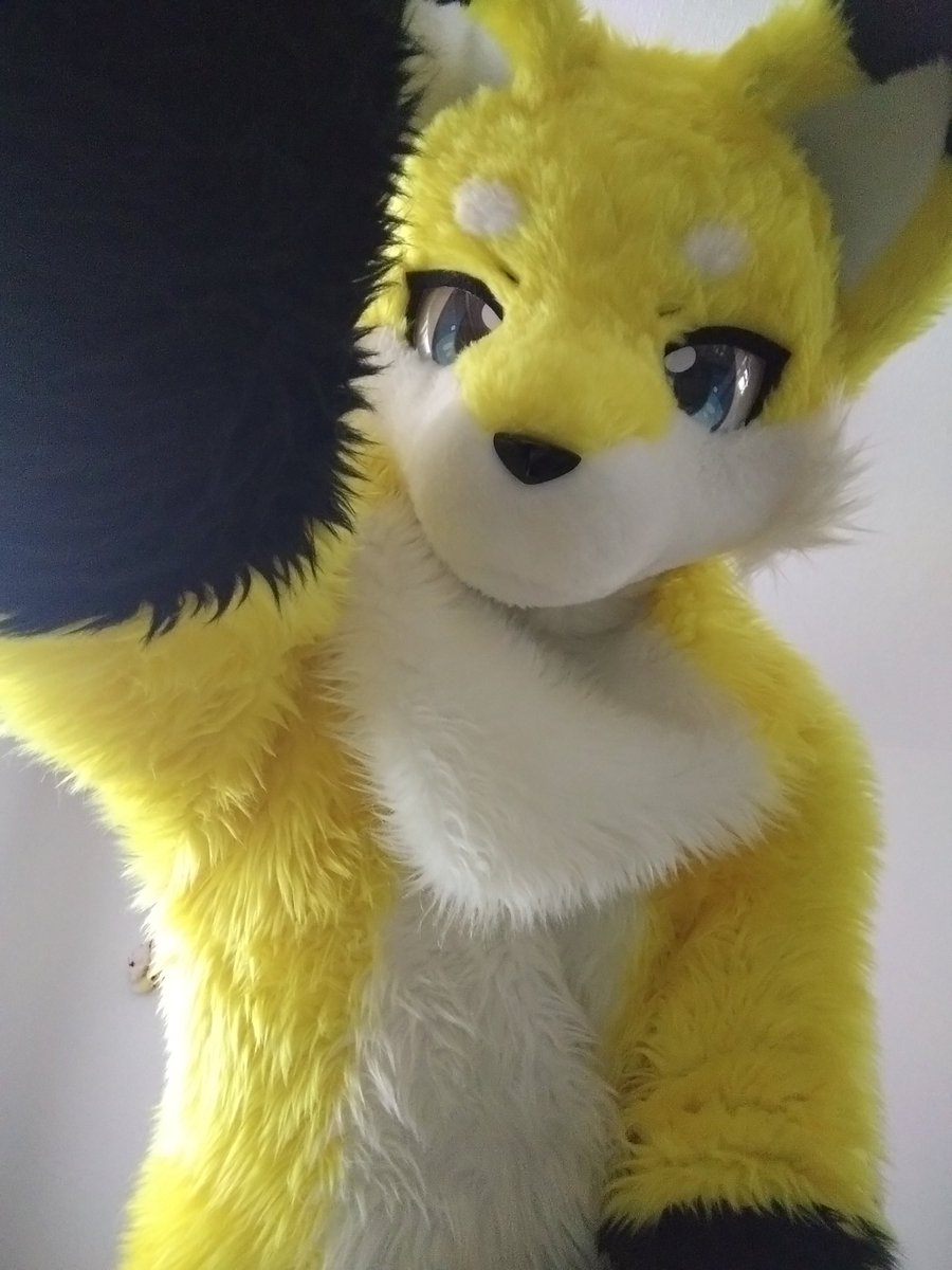 凌牙🐾 tweet media