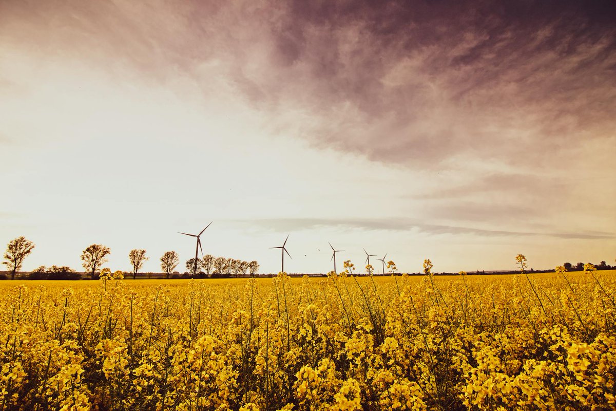 kavout's tweet image. A small-cap just patented an algae biofuel method that could disrupt a $19B market. Is BioFuel Dynamics' tech a game-changer or just hype?

#Biofuel #RenewableEnergy #AlgaeTech
kavout.com/market-lens/wh…