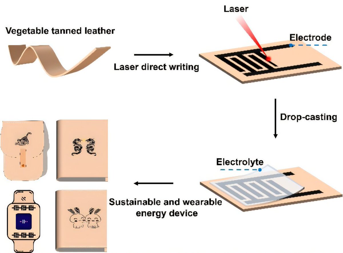 talius's tweet image. #Leather gets a #power #upgrade with #laser-written #microsupercapacitors 

Researchers have developed a #simple and #ecofriendly way to use a laser to turn natural leather into #flexible and #wearable #energy #devices. scitechupdates.com/leather-gets-a…