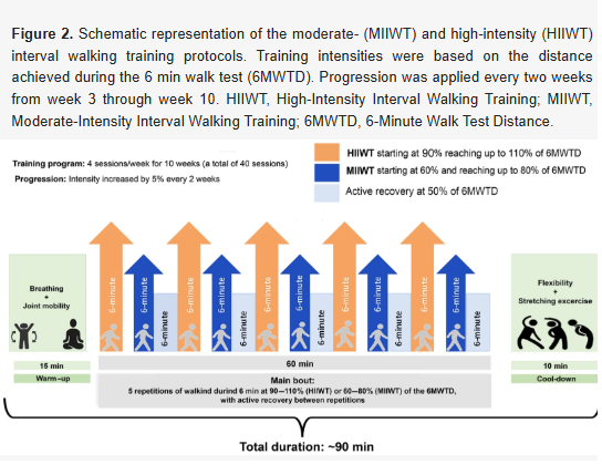 MDeikus's tweet photo. In our study, we found that high-intensity interval walking can meaningfully improve aerobic capacity, plasma volume, body composition, and health-related markers in postmenopausal women with overweight or obesity.https://t.co/s7mjkFSWnS https://t.co/gVR6sAuUM5