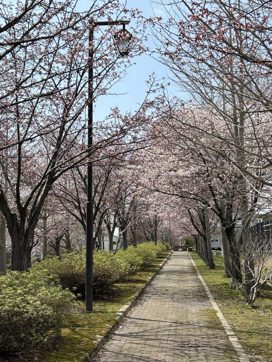 国土交通省 北海道開発局 函館開発建設部 tweet media