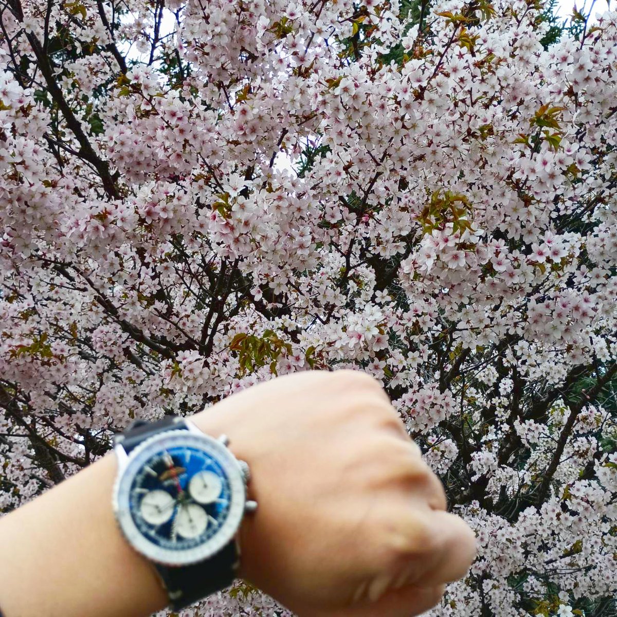 GracisOnline's tweet photo. 「ムーブメントってよくわからなくて」という方へ。
要するにナビタイマー B01は、見た目も中身も全部ブライトリング自身が作っています。それだけでなんかすごい(笑)
気になったら、ぜひスタッフに聞いてみてください⚙️
#ブライトリング #B01 #機械式時計 #GRACIS https://t.co/3iO01Zf50R