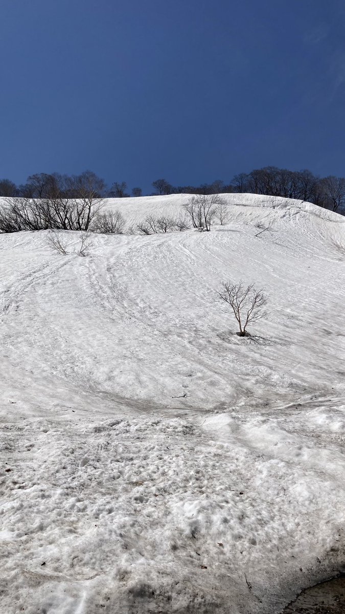 a_ki05's tweet photo. 久しぶりに残雪歩きした https://t.co/fgE5Ci2I9a