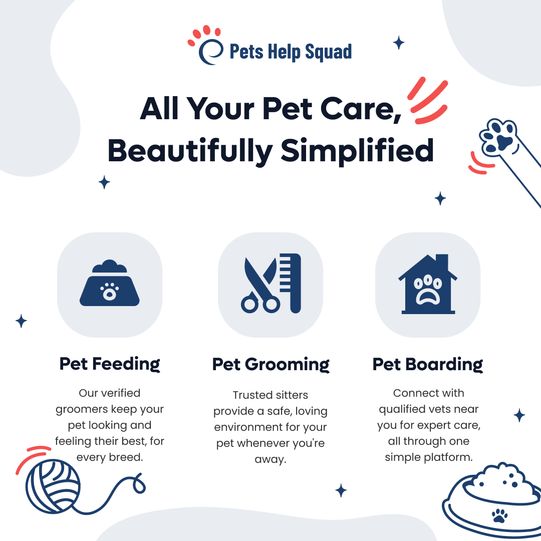 Petsinsync's tweet photo. Whether your pet needs a trim, a trusted sitter, or a vet visit, Pets Help Squad brings grooming, sitting, and veterinary services together in one easy-to-use platform — so you can focus on what matters most, your pet.

#PetSolutions #PetWellbeing #UKServices #PetsHelpSquad https://t.co/T18vCAMJtx