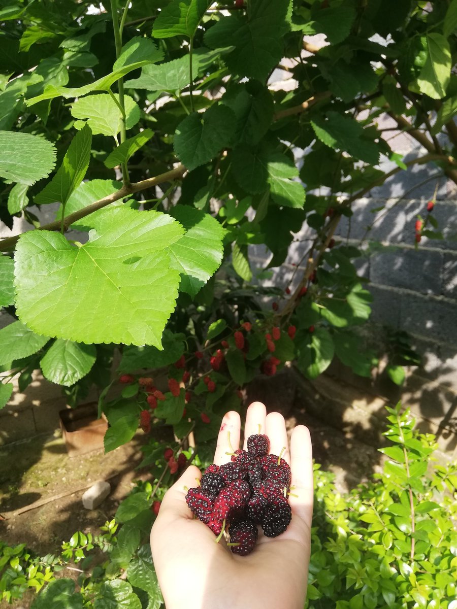 Parmak uçlarımda mor bir çocukluk hikayesi.