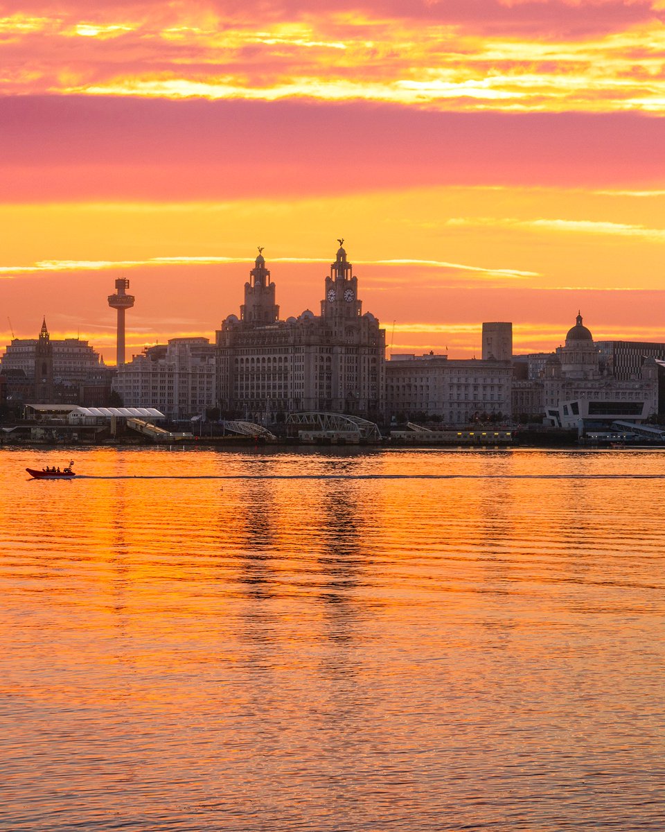 Liverpool Vista tweet media
