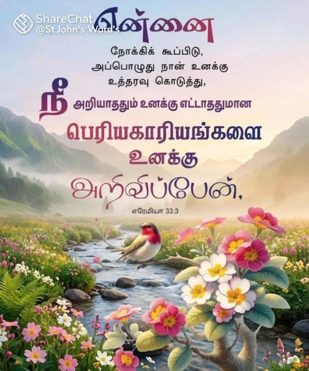 LivingWord7th's tweet photo. ஆமென்🙏 https://t.co/uCVE1FEnHu