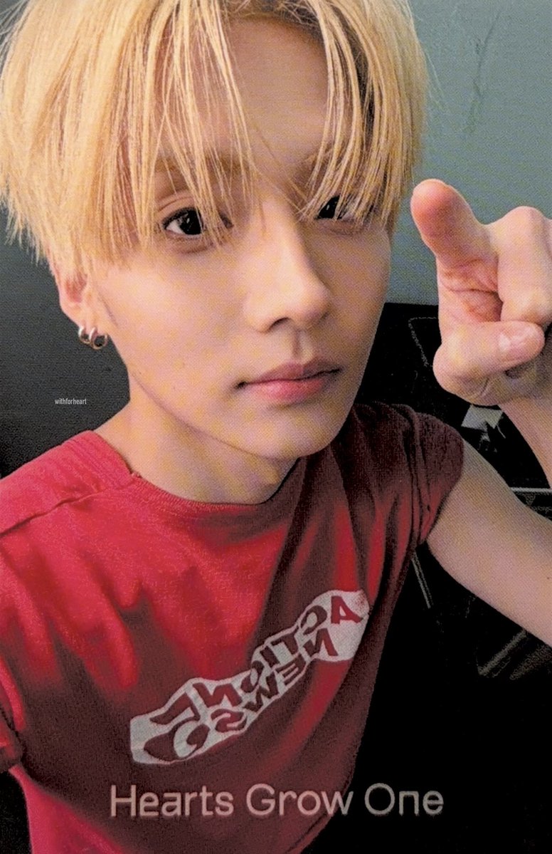 데이 tweet media