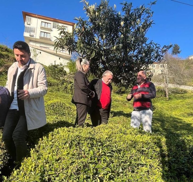 Hamdi Tellioğlu tweet media