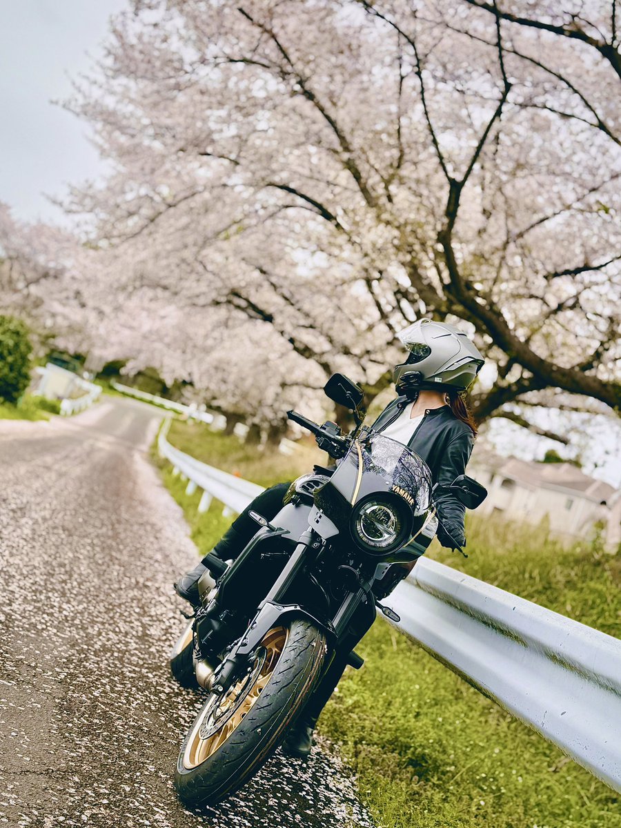 nekoneko4461's tweet photo. 先日参加したXSR MTGで、カスタム欲が増し増し増し増し増し増し… https://t.co/ATLOq0oCWT