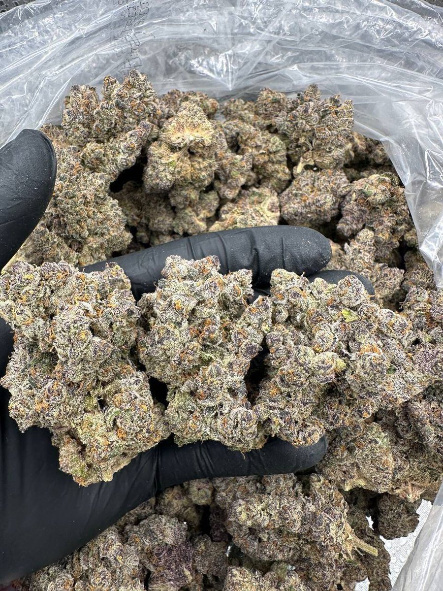Davonekub's tweet image. WAGYU 🥩

#cannabis #weed #marijuana