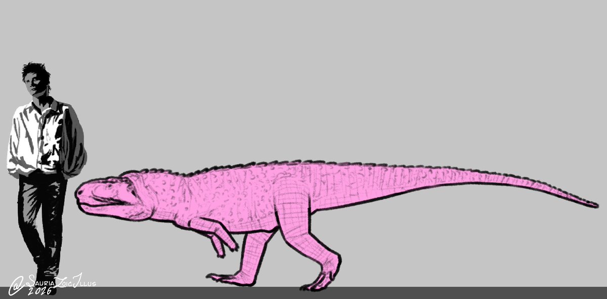 Petite Paleoartist | Sauriazoicillus 🍥 tweet media