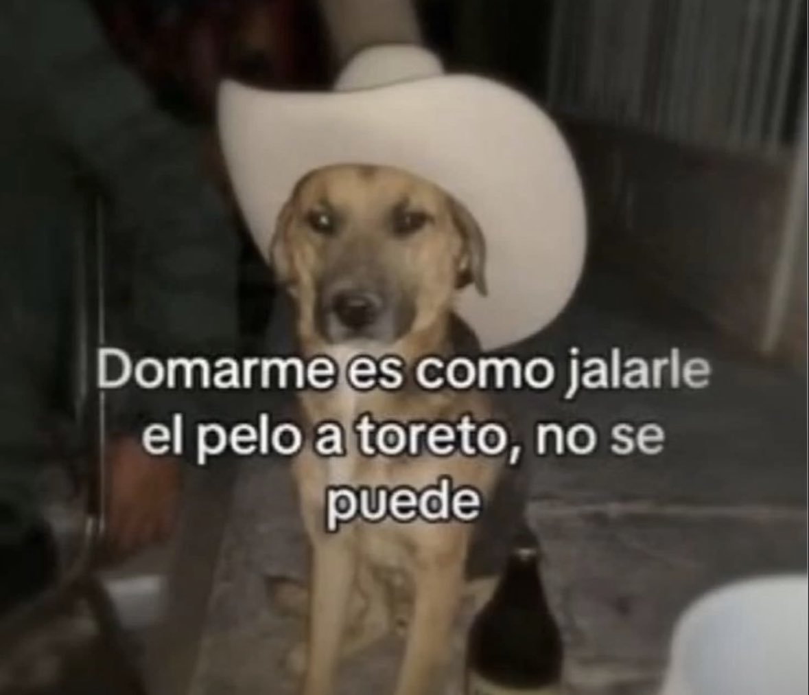 COSAS DE NORTEÑOS tweet media