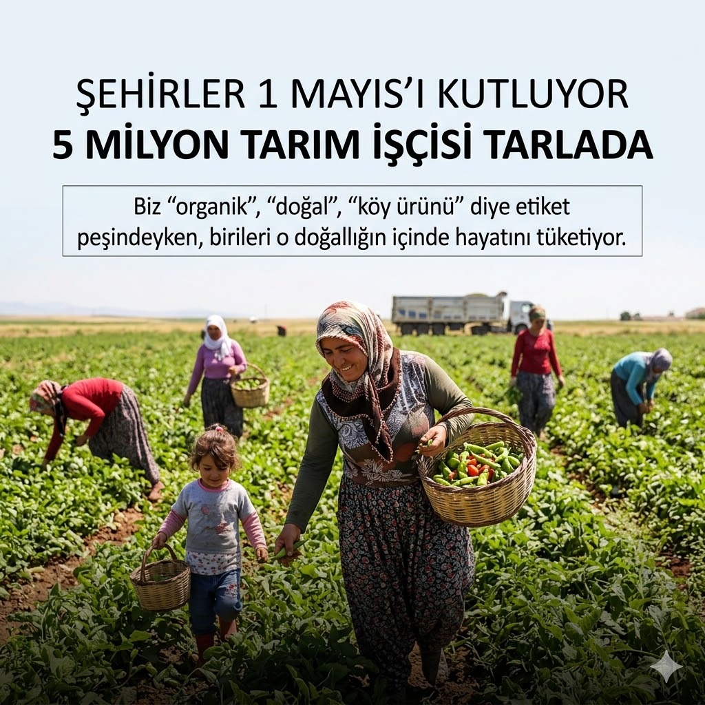 Mine Ataman tweet media