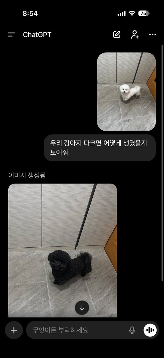 6시내고양 tweet media