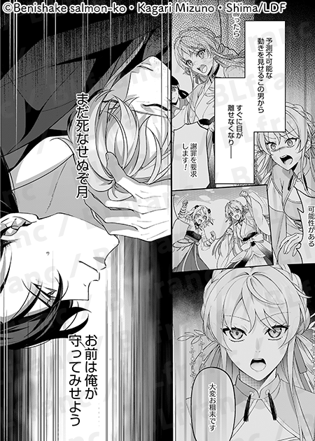 BLfranc編集部 tweet media