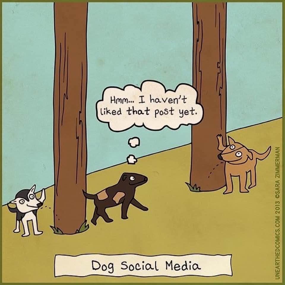John tweet media