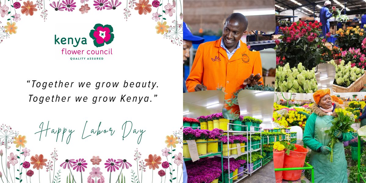 Kenya Flower Council tweet media