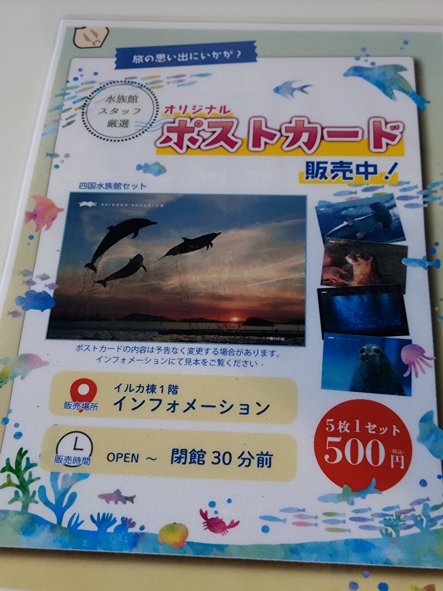 るー🐬 tweet media