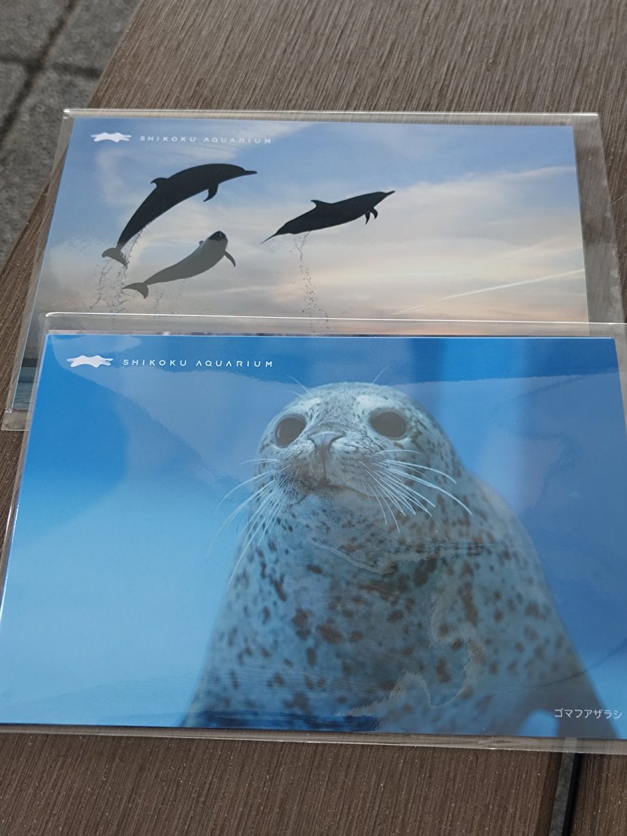 るー🐬 tweet media