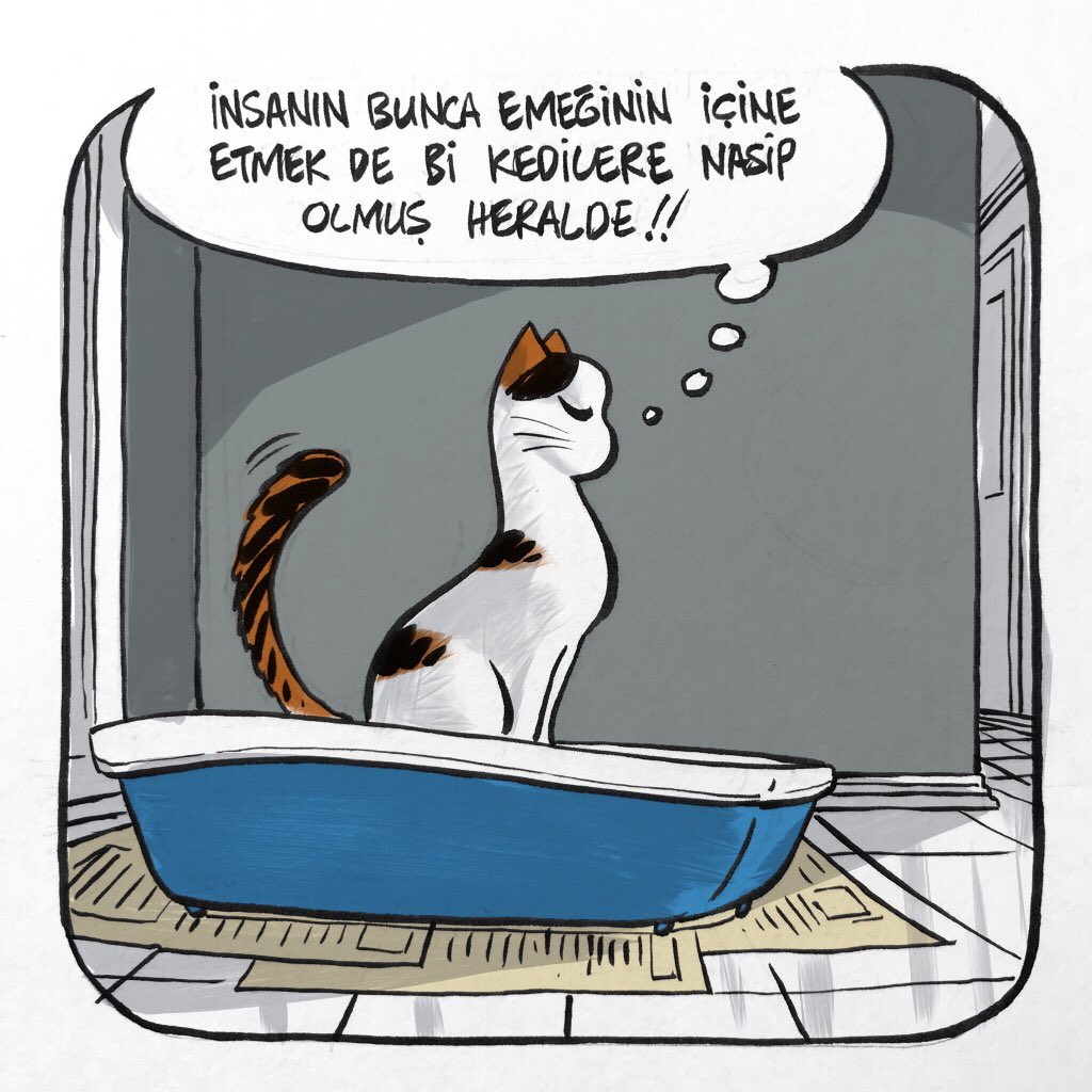 evdecatbasina's tweet photo. Tüm kedi emekçilerinin de 1 Mayısı kutlu olsun🐾💥 https://t.co/cOZPx9ZPAY