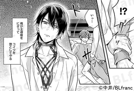 BLfranc編集部 tweet media