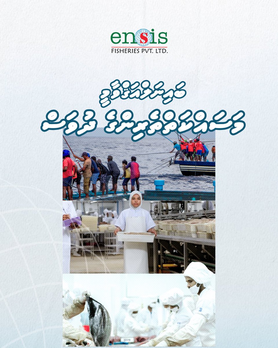 Ensis Group tweet media