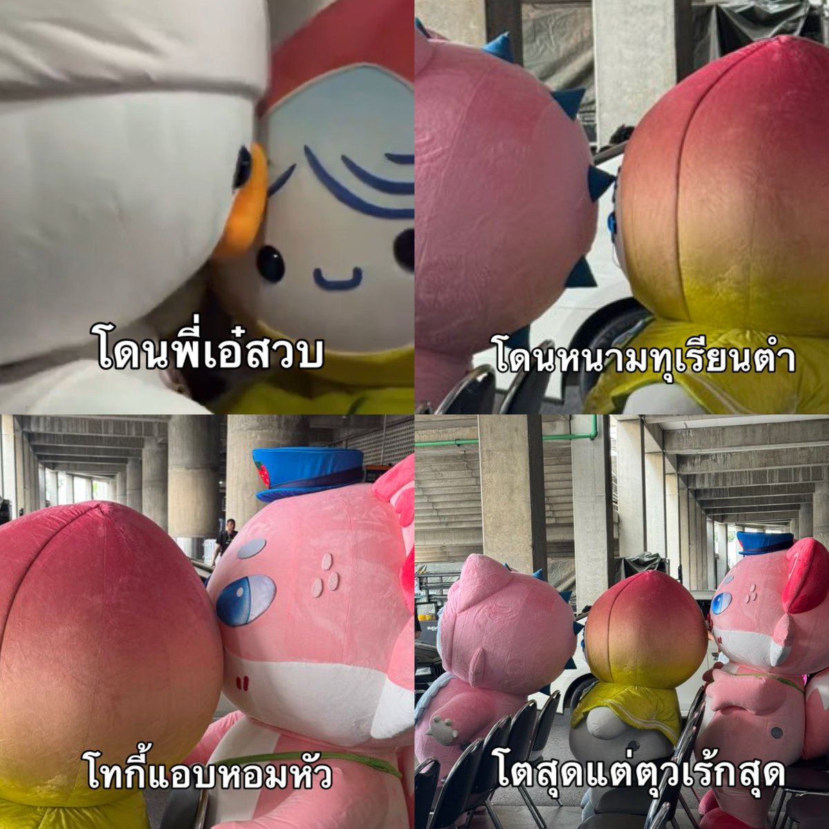 ข้าวนึ่ง🍚 𐙚 ̊ tweet media