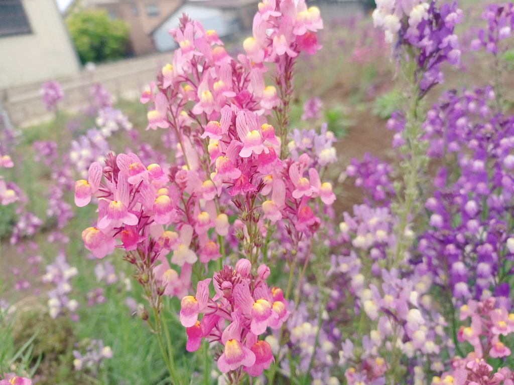 お疲れ様ヽ(・∀・)ノ🌸
金曜日って嬉しいねー
今日もありがとうございます
ゆっくり楽しんでね😉👍💓
