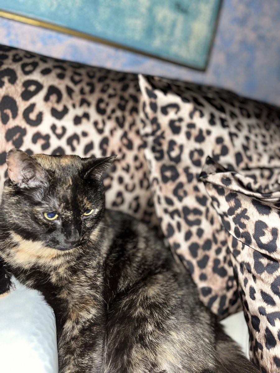 iloveluucy's tweet image. It’s MAY frens🌸 Momz took some photos. Of course I’m the bestest #toronto
~Lucy