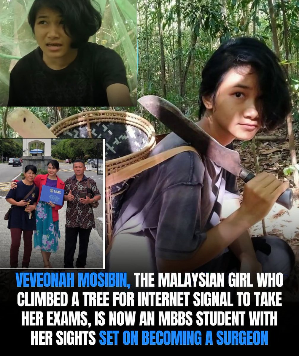 Viralvid_89's tweet image. In 2020, a teenage girl from a remote farming village in Sabah, Malaysia climbed a tree and stayed there for 24 hours.

Not for adventure. For her exams.

Veveonah Mosibin had almost no internet access at ground level in her village. So she found her own solution: climb higher.