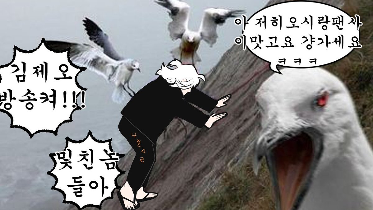 공란 tweet media