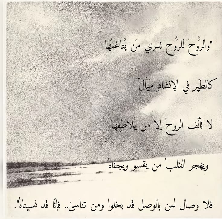 نُور : tweet media