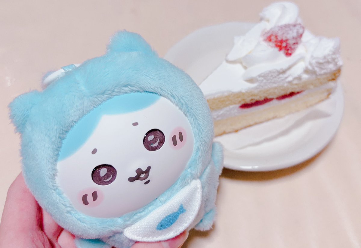 ハチワレ誕生日おめでとう☁️🩵🫧