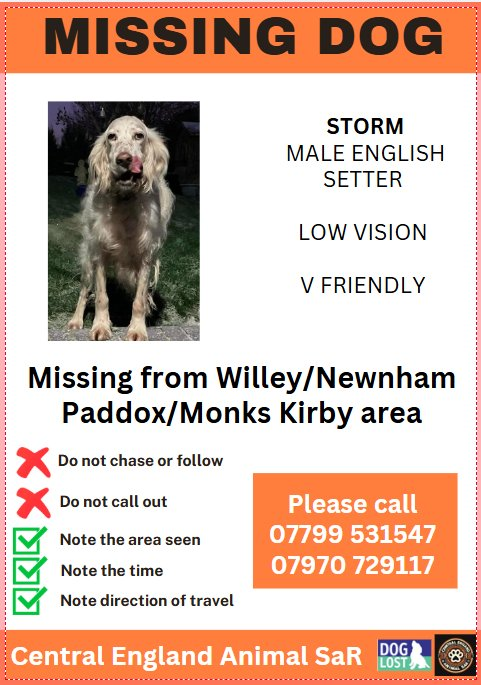 Pawprints Dog Rescue (UK) tweet media