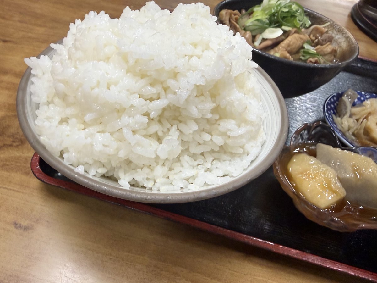 モーモット 🐯 tweet media