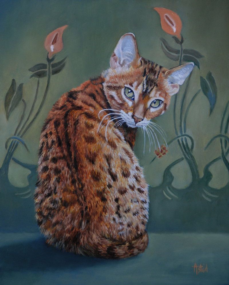 Astrid Bruning 🎨