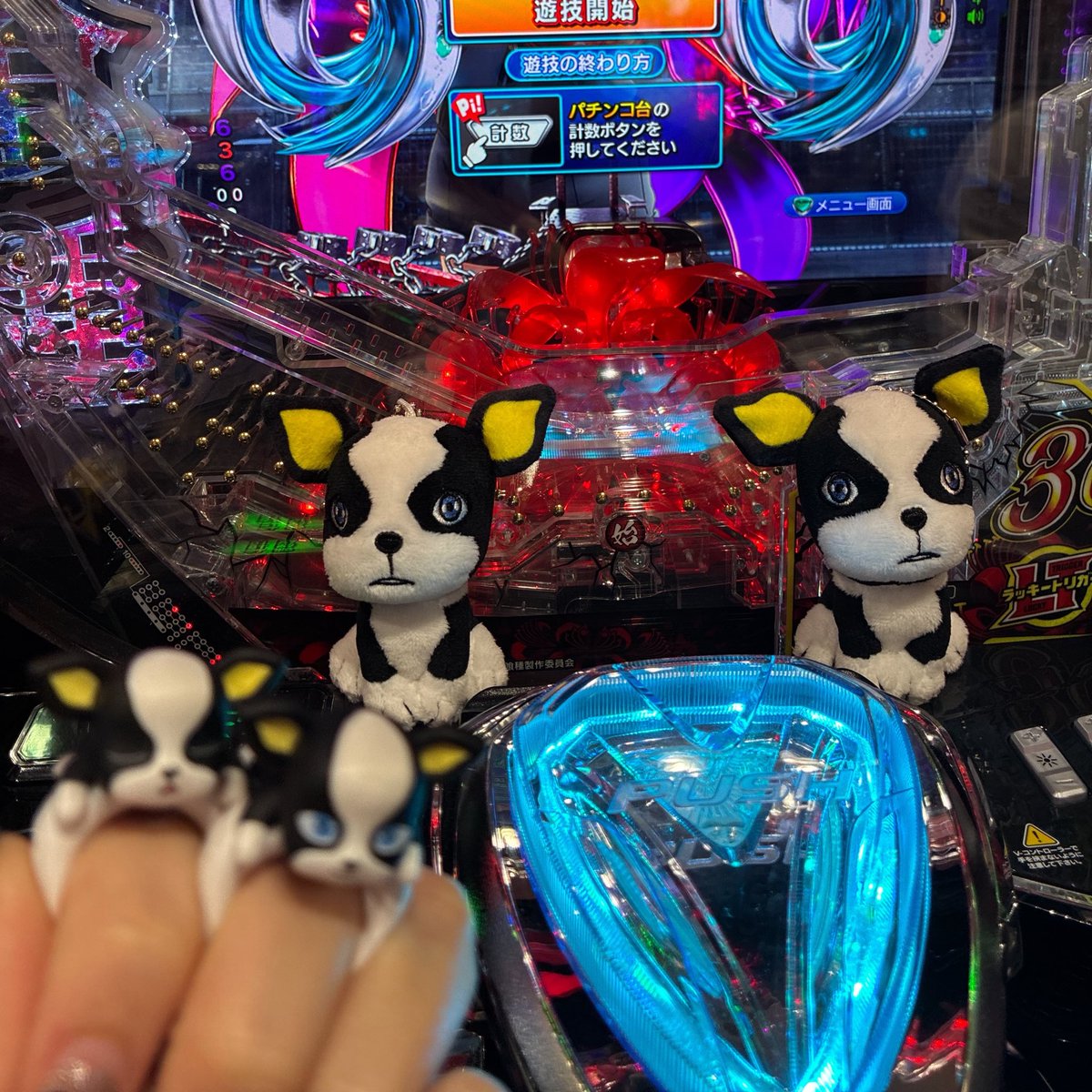 コーヒーガム常備ネキ tweet media