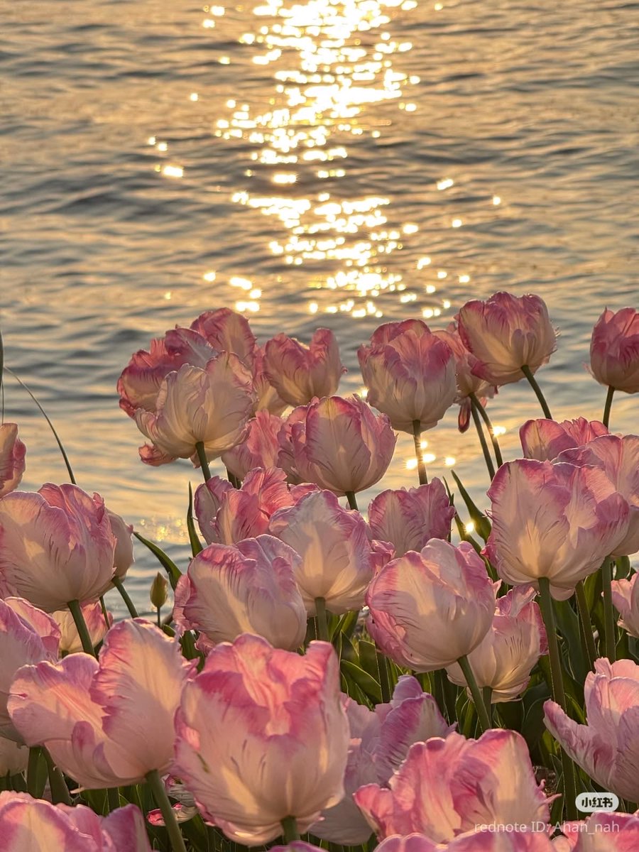 HeavenOnEarth tweet media