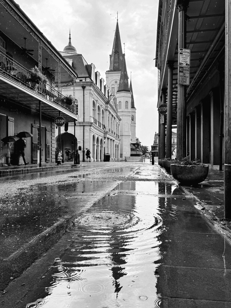 David Nola tweet media