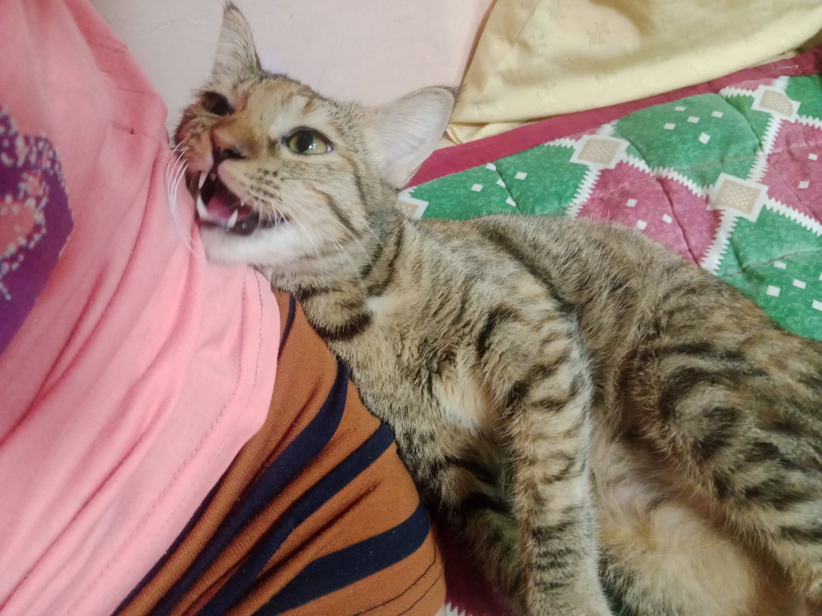 clingy babi