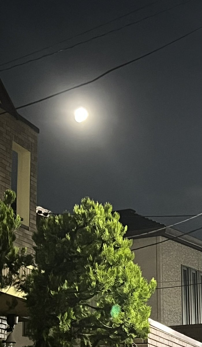 夜のウォーキング。月がきれいでした