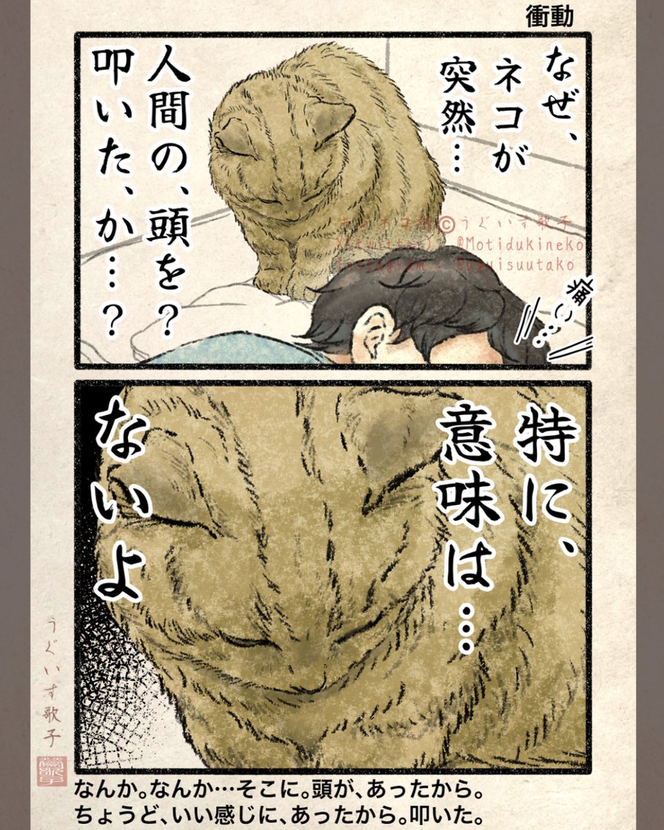 キジネコ様 tweet media